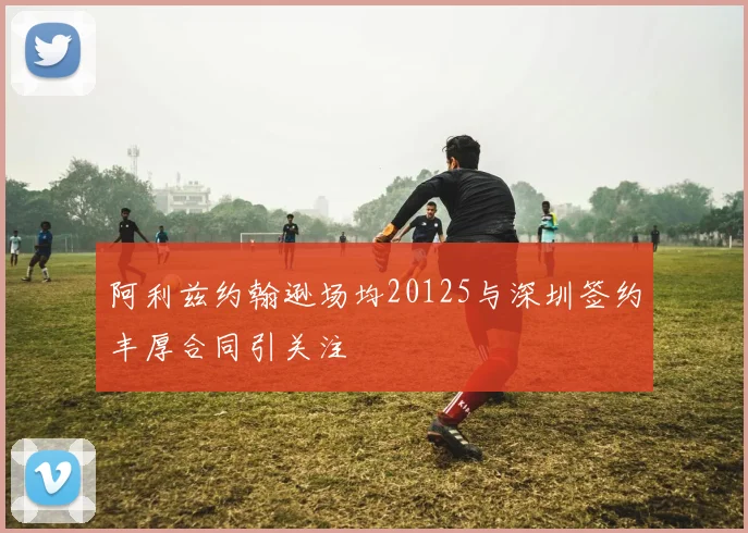 阿利兹约翰逊场均20125与深圳签约丰厚合同引关注