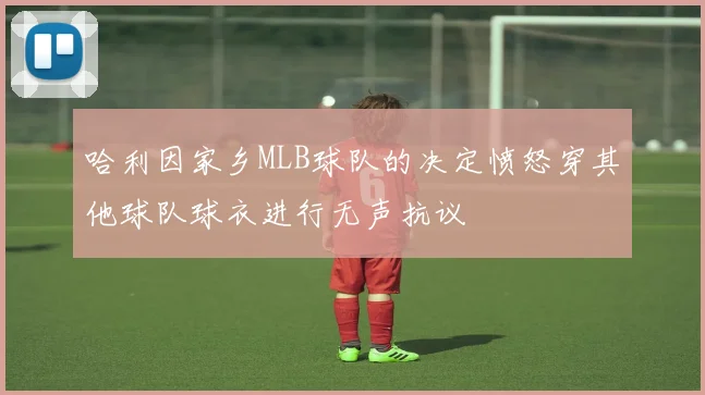 哈利因家乡MLB球队的决定愤怒穿其他球队球衣进行无声抗议